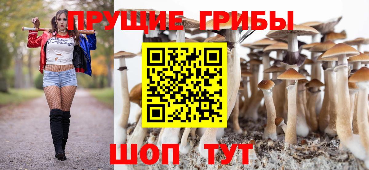 Шахты  Псилоцибиновые грибы MAGIC MUSHROOMS  Вход с VPN  Галлюциногенные грибы MAGIC MUSHROOMS 